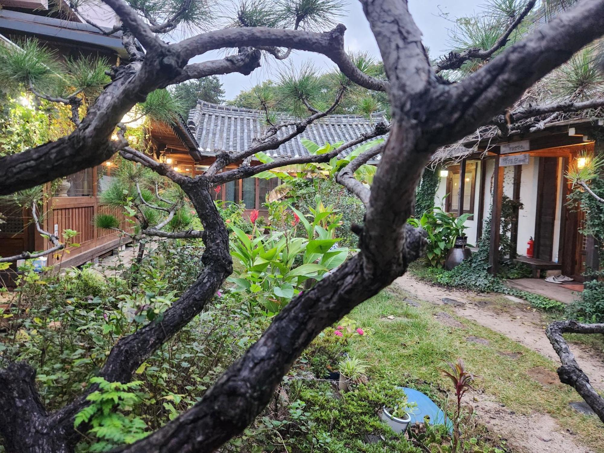 Namuae Hotel Gyeongju Exterior photo
